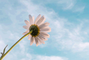 Another Bitcoin 'Full Collapse' Warning: And the Crypto Bros Are Losing It