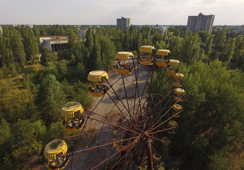 Chernobyl: The Dogs, Its Enduring Lessons, and What We Can Build from Its Past